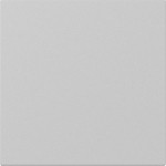 GIRA 3496015 Wippe gerade System 55 Grau m 