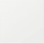 GIRA 349603 Wippe gerade System 55 Reinweiß 