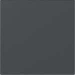 GIRA 349628 Wippe gerade System 55 Anthrazit 