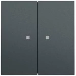 Gira 363173 Wippe 2-fach mit Kontrollfenster in anthrazit lackiert passend für System 70 Programmübergreifend (Zubehör) 