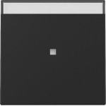 GIRA 3670005 Wippe Kontrollf. + BSF System 55 Schwarz m 