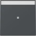 GIRA 367028 Wippe Kontrollf. + BSF System 55 Anthrazit 