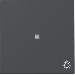 GIRA 367428 Wippe Kontrollf. + Symb. Licht System 55 Anthrazit