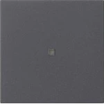 Gira 510428 RF Multi Bedienaufsatz 1-fach für KNX zur Steuerung von System 3000 Einsätzen und entfernten KNX Geräten 