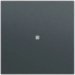 Gira 510473 Multi Bedienaufsatz 1fach für KNX zur Steuerung von System 3000 Einsätzen und entfernten KNX Geräten 