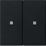 Gira 5107005 RF Multi Bedienaufsatz 2-fach für KNX zur Steuerung von System 3000 Einsätzen und entfernten KNX Geräten 