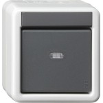 GIRA 515230 Taster-BA 1f Kontrollf. + 2-Punkt KNX WG AP Grau 