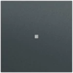 Gira 517173 Taster Wippe 1f OneKNX System 70 Anthrazit lackiert 