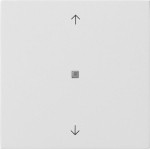 GIRA 5172112 Taster Wippe 1f Pfeile OneKNX Flächenschalter Reinweiß 