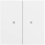 Gira 517372 Taster Wippe 2f OneKNX System 70 Reinweiß matt lackiert 