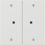 GIRA 5174112 Taster Wippe 2f Pfeile OneKNX Flächenschalter Reinweiß 