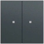 Gira 536973 Wippe 2-fach unbedruckt mit Kontrollfenster in Anthrazit lackiert passend für System 70 (Ersatzteil) 