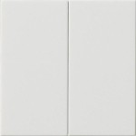 GIRA 537003 Wippe 2f unbedruckt System 55 Reinweiß 