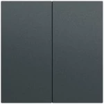 Gira 537073 Wippe 2f unbedruckt System 70 Anthrazit lackiert 