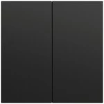 Gira 537074 Wippe 2f unbedruckt System 70 Schwarz matt lackiert 
