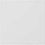 GIRA 5372112 Wippe 1f unbedruckt Flächenschalter Reinweiß 