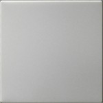 GIRA 5372600 Wippe 1f unbedruckt System 55 Edelstahl 