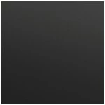 Gira 537274 Wippe 1f unbedruckt System 70 Schwarz matt lackiert 