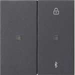 Gira 538128 Manuelle und zeitgesteuerte Bedienung von Jalousien, Rollläden, Beleuchtung mit Bluetooth-Steuerung via App 