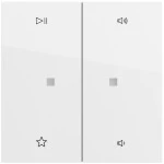Gira 538470 Wippe 2f Audiostrg System 70 Reinweiß 