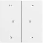 Gira 538472 Wippe 2f Audiostrg System 70 Reinweiß matt lackiert 