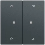 Gira 538473 Wippe 2f Audiostrg System 70 Anthrazit lackiert 