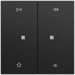 Gira 538474 Wippe 2f Audiostrg System 70 Schwarz matt lackiert 
