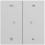 Gira 538476 Wippe 2f Audiostrg System 70 Grau matt lackiert 