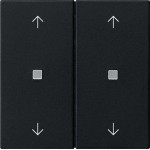 GIRA 5386005 Wippe 2f Pfeile Kontrollf. System 55 Schwarz m 