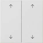 GIRA 538727 Wippe 2f Pfeile System 55 Reinweiß m 