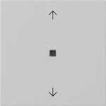 GIRA 5388015 Wippe 1f Pfeile Kontrollf. System 55 Grau m 