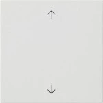 GIRA 538927 Wippe 1f Pfeile System 55 Reinweiß m 