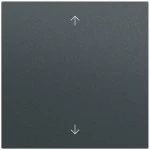 Gira 538973 Wippe 1f Pfeile System 70 Anthrazit lackiert 