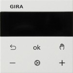 GIRA 539303 S3000 RTR Display System 55 Reinweiß 
