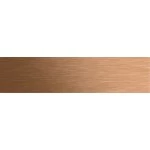 Gira 5541921 Ruftastenabdeckung 1-fach in Bronze passend für Ruftastenmodul der Serie System 106 von 