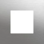 Gira 5545914 Frontplatte passend für System 106 mit KeyIn Fingerprintmodul aus Edelstahl V4A 