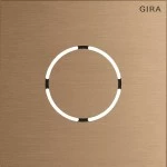 Gira 5578921 Frontplatte in Bronze passend für Sprachmodul der Serie System 106 von 