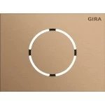 Gira 5579921 Frontplatte in Bronze passend für Türstationsmodul der Serie System 106 von 