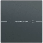 Gira 576173 Wippenset 1-fach individuell passend für Tastsensor 4.70 in anthrazit lackiert (Zubehör) 