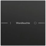 Gira 576174 Wippenset 1-fach individuell passend für Tastsensor 4.70 in Schwarz matt lackiert (Zubehör) 