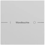 Gira 576176 Wippenset 1-fach individuell für Tastsensor 4.70 in Grau matt lackiert passend für System 70 (Zubehör) 