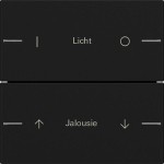 GIRA 5762005 Wippenset 2f indiv. Tastsens.4.55 Schwarz m 