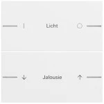 Gira 576270 Wippenset 2-fach individuell passend für Tastsensor 4.70 in Reinweiß glänzend (Zubehör) 