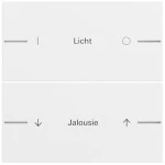 Gira 576272 Wippenset 2-fach individuell passend für Tastsensor 4.70 in Reinweiß seidenmatt lackiert (Zubehör) 