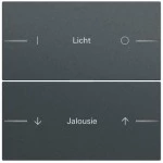 Gira 576273 Wippenset 2-fach individuell passend für Tastsensor 4.70 in Anthrazit lackiert (Zubehör) 