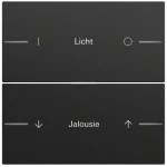Gira 576274 Wippenset 2-fach individuell für Tastsensor 4.70 in Schwarz matt lackiert (Zubehör) 