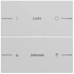 Gira 576276 Wippenset 2-fach individuell passend für Tastsensor 4.70 in Grau matt lackiert (Zubehör) 