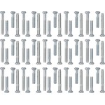 GIRA 818200 Schraubenset Koaxial-Steckd. 30x 2 Stck. System 55 