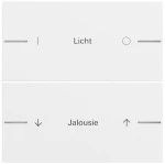 Gira 862270 Wippe als Wippenset 2fach individuell passend für Tastsensor 4.70 in Reinweiß (Ersatzteil) (Zubehör) 
