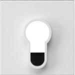 GIRA 866427 Abd. Schlüsselsch./-taster o.Aufdruck System 55 Reinweiß m 